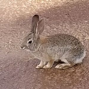 Meet your Posher, Mia